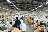 Dệt Nam Long sản xuất khăn khổ rộng nhất ở Việt Nam